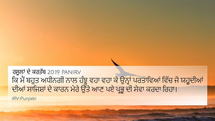 ਰਸੂਲਾਂ ਦੇ ਕਰਤੱਬ 20:19 PANIRV Bible Verse Image