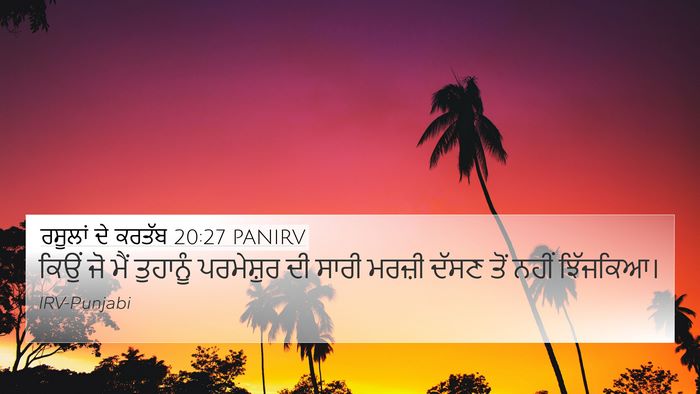 ਰਸੂਲਾਂ ਦੇ ਕਰਤੱਬ 20:27 PANIRV Bible Verse Image