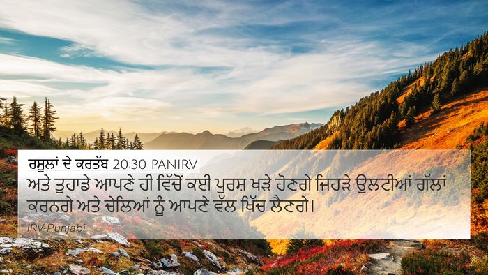 ਰਸੂਲਾਂ ਦੇ ਕਰਤੱਬ 20:30 PANIRV Bible Verse Image