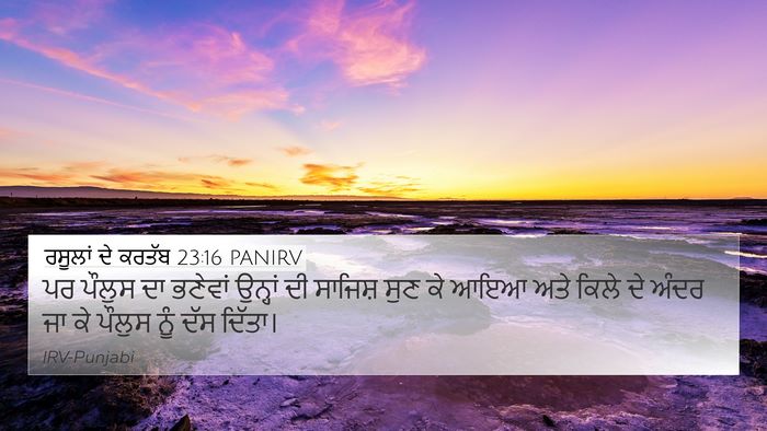ਰਸੂਲਾਂ ਦੇ ਕਰਤੱਬ 23:16 PANIRV Bible Verse Image