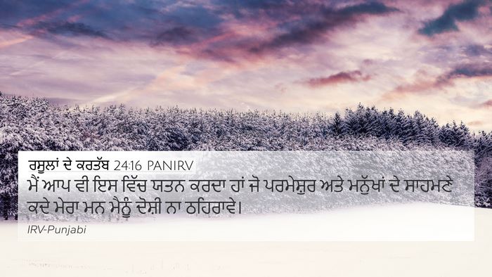 ਰਸੂਲਾਂ ਦੇ ਕਰਤੱਬ 24:16 PANIRV Bible Verse Image