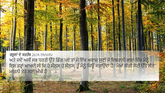 ਰਸੂਲਾਂ ਦੇ ਕਰਤੱਬ 26:14 PANIRV Bible Verse Image
