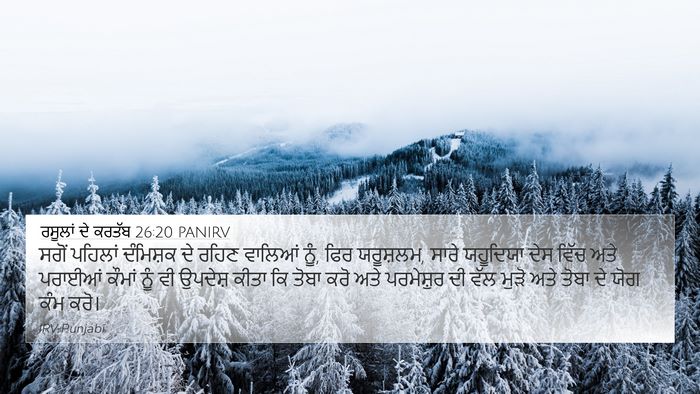 ਰਸੂਲਾਂ ਦੇ ਕਰਤੱਬ 26:20 PANIRV Bible Verse Image