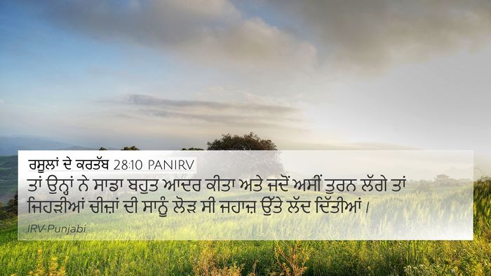 ਰਸੂਲਾਂ ਦੇ ਕਰਤੱਬ 28:10 PANIRV Bible Verse Image