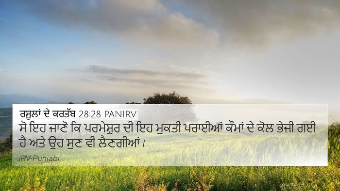 ਰਸੂਲਾਂ ਦੇ ਕਰਤੱਬ 28:28 PANIRV Bible Verse Image
