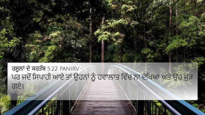 ਰਸੂਲਾਂ ਦੇ ਕਰਤੱਬ 5:22 PANIRV 4K Wallpaper - ਪਰ ਜਦੋਂ ਸਿਪਾਹੀ ਆਏ - 4K Wallpaper Bible Verse