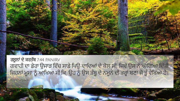 ਰਸੂਲਾਂ ਦੇ ਕਰਤੱਬ 7:44 PANIRV Bible Verse Image
