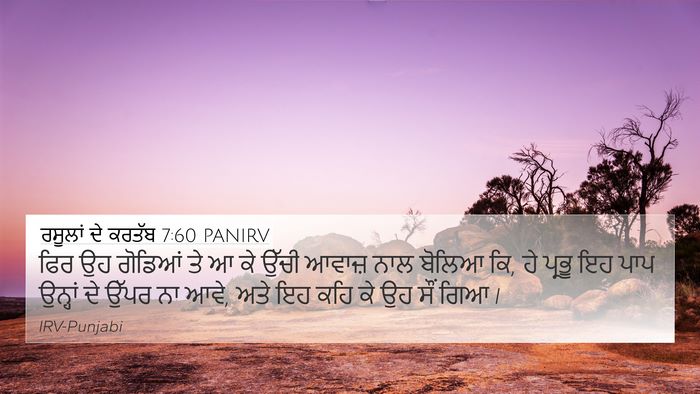 ਰਸੂਲਾਂ ਦੇ ਕਰਤੱਬ 7:60 PANIRV Bible Verse Image