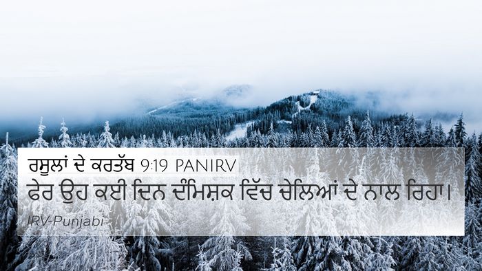 ਰਸੂਲਾਂ ਦੇ ਕਰਤੱਬ 9:19 PANIRV Bible Verse Image