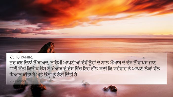 ਰੁੱਤ 1:6 PANIRV Bible Verse Image