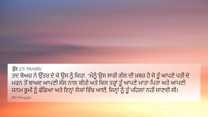 ਰੁੱਤ 2:11 PANIRV 4K Wallpaper - ਤਦ ਬੋਅਜ਼ ਨੇ ਉੱਤਰ ਦੇ - 4K Wallpaper Bible Verse