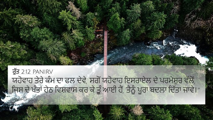 ਰੁੱਤ 2:12 PANIRV Bible Verse Image