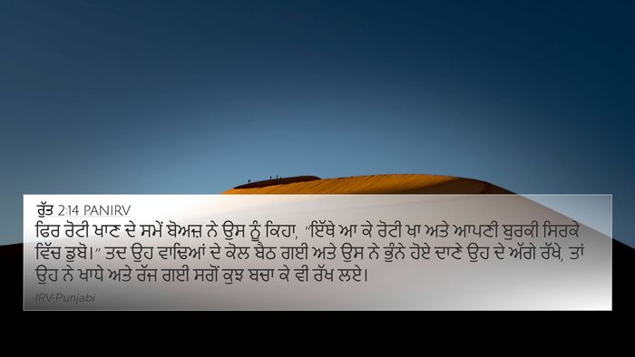 ਰੁੱਤ 2:14 PANIRV Bible Verse Image