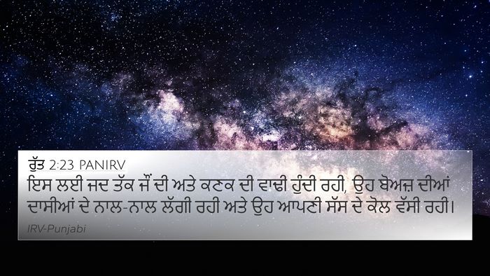 ਰੁੱਤ 2:23 PANIRV 4K Wallpaper - ਇਸ ਲਈ ਜਦ ਤੱਕ ਜੌਂ ਦੀ - 4K Wallpaper Bible Verse
