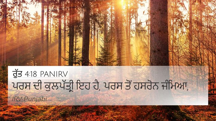 ਰੁੱਤ 4:18 PANIRV Bible Verse Image