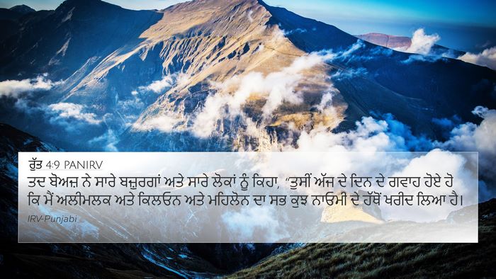 ਰੁੱਤ 4:9 PANIRV 4K Wallpaper - ਤਦ ਬੋਅਜ਼ ਨੇ ਸਾਰੇ - 4K Wallpaper Bible Verse