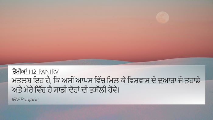 ਰੋਮੀਆਂ 1:12 PANIRV Bible Verse Image