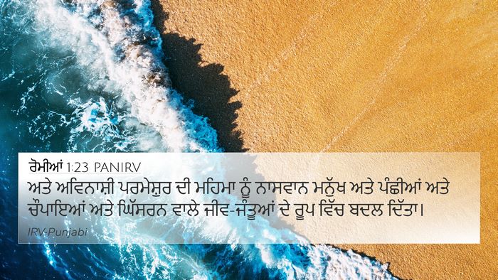 ਰੋਮੀਆਂ 1:23 PANIRV Bible Verse Image