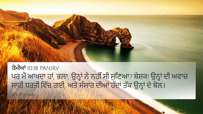 ਰੋਮੀਆਂ 10:18 PANIRV Bible Verse Image