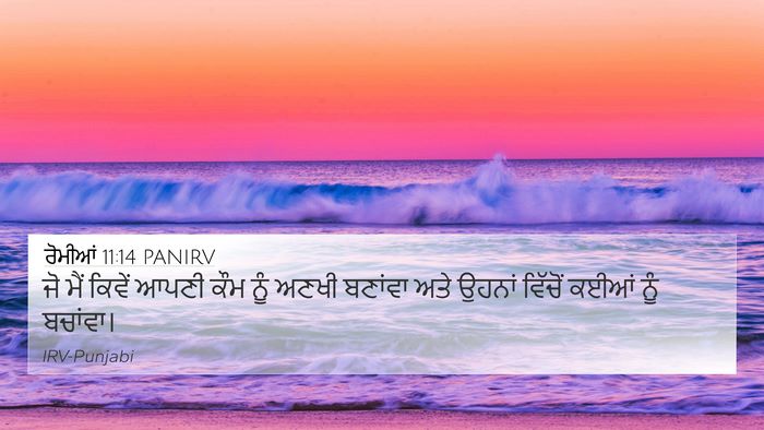 ਰੋਮੀਆਂ 11:14 PANIRV Bible Verse Image