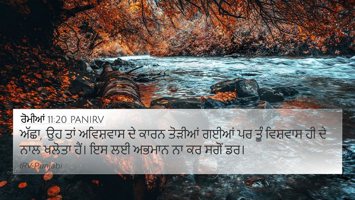 ਰੋਮੀਆਂ 11:20 PANIRV Bible Verse Image