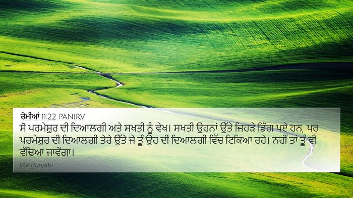 ਰੋਮੀਆਂ 11:22 PANIRV Bible Verse Image