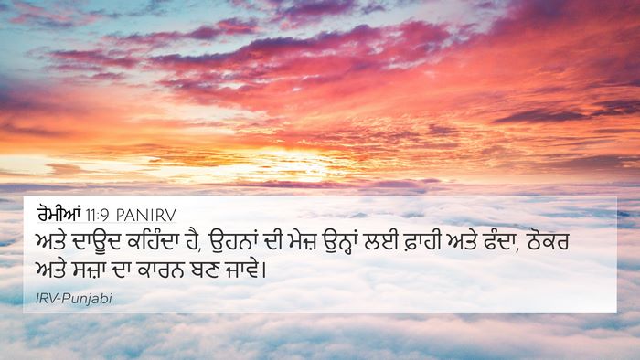 ਰੋਮੀਆਂ 11:9 PANIRV Bible Verse Image