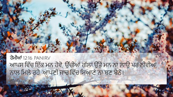 ਰੋਮੀਆਂ 12:16 PANIRV Bible Verse Image