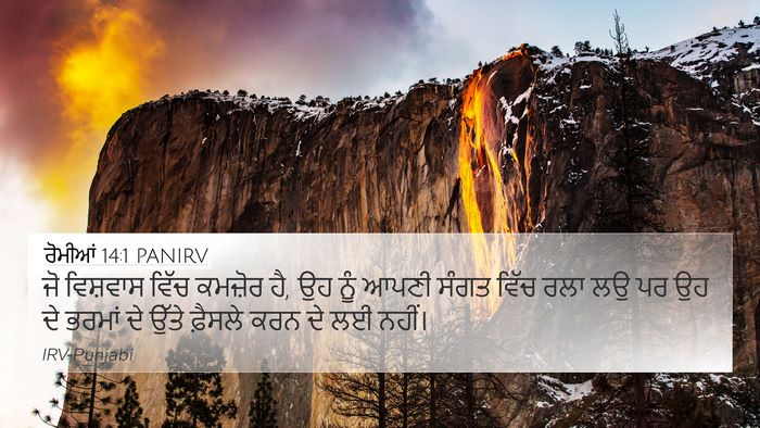 ਰੋਮੀਆਂ 14:1 PANIRV Bible Verse Image