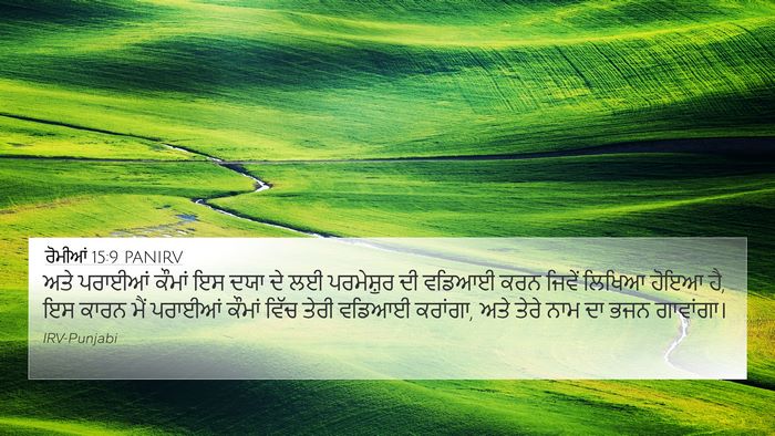 ਰੋਮੀਆਂ 15:9 PANIRV Bible Verse Image