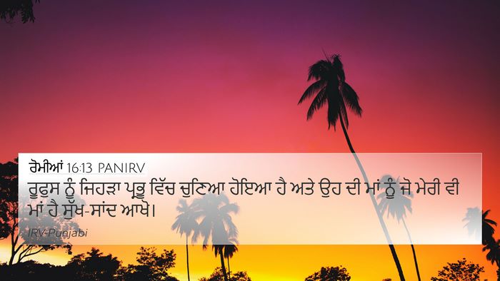 ਰੋਮੀਆਂ 16:13 PANIRV Bible Verse Image