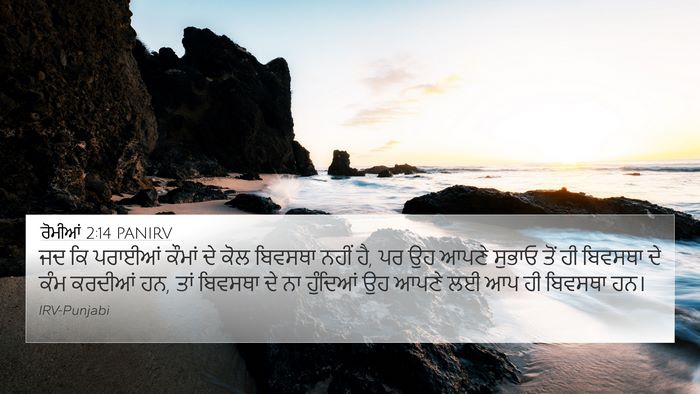 ਰੋਮੀਆਂ 2:14 PANIRV Bible Verse Image