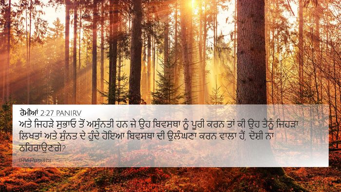 ਰੋਮੀਆਂ 2:27 PANIRV Bible Verse Image