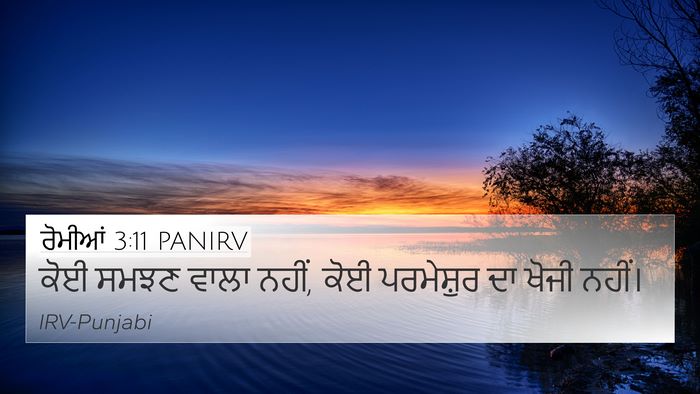 ਰੋਮੀਆਂ 3:11 PANIRV Bible Verse Image