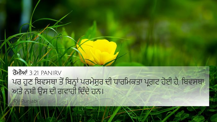 ਰੋਮੀਆਂ 3:21 PANIRV Bible Verse Image
