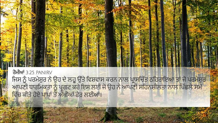 ਰੋਮੀਆਂ 3:25 PANIRV Bible Verse Image