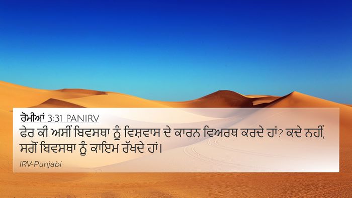 ਰੋਮੀਆਂ 3:31 PANIRV Bible Verse Image