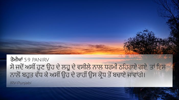 ਰੋਮੀਆਂ 5:9 PANIRV Bible Verse Image