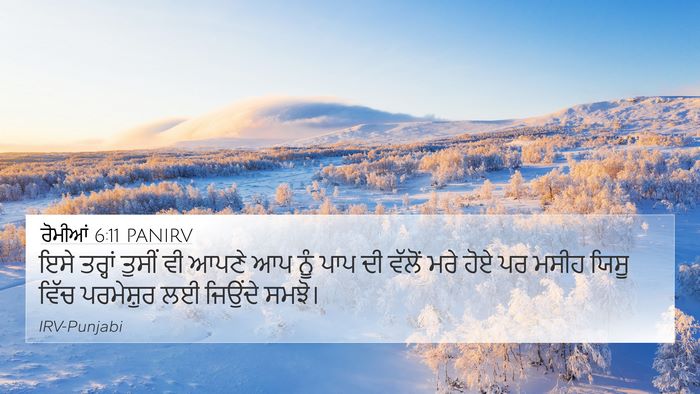 ਰੋਮੀਆਂ 6:11 PANIRV Bible Verse Image