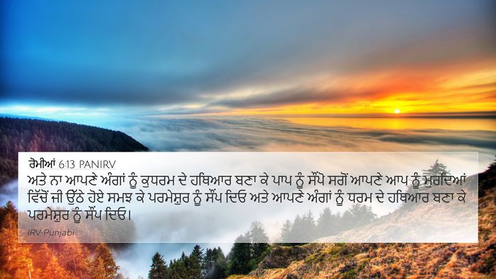 ਰੋਮੀਆਂ 6:13 PANIRV Bible Verse Image