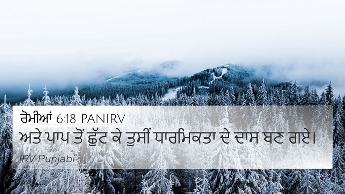 ਰੋਮੀਆਂ 6:18 PANIRV Bible Verse Image