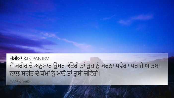 ਰੋਮੀਆਂ 8:13 PANIRV Bible Verse Image