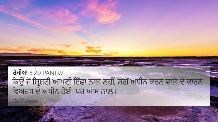 ਰੋਮੀਆਂ 8:20 PANIRV Bible Verse Image
