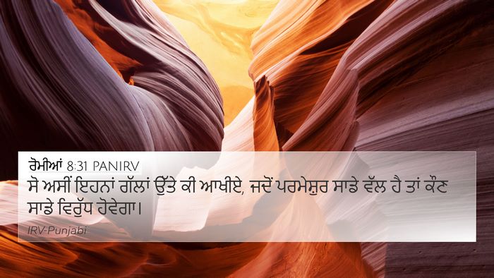 ਰੋਮੀਆਂ 8:31 PANIRV Bible Verse Image