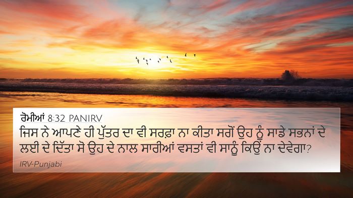 ਰੋਮੀਆਂ 8:32 PANIRV Bible Verse Image