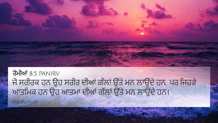 ਰੋਮੀਆਂ 8:5 PANIRV Bible Verse Image