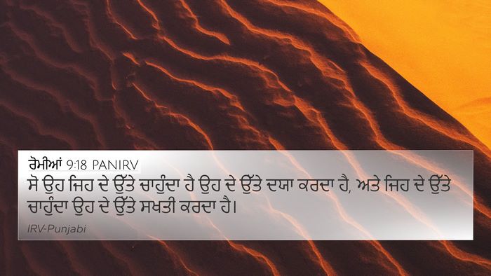 ਰੋਮੀਆਂ 9:18 PANIRV Bible Verse Image