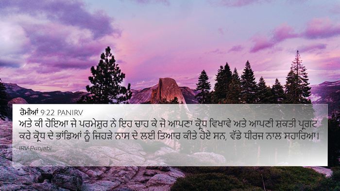 ਰੋਮੀਆਂ 9:22 PANIRV Bible Verse Image