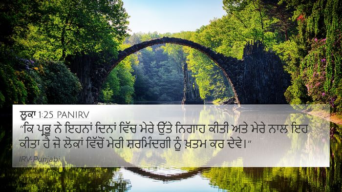 ਲੂਕਾ 1:25 PANIRV 4K Wallpaper - “ਕਿ ਪ੍ਰਭੂ ਨੇ ਇਹਨਾਂ - 4K Wallpaper Bible Verse