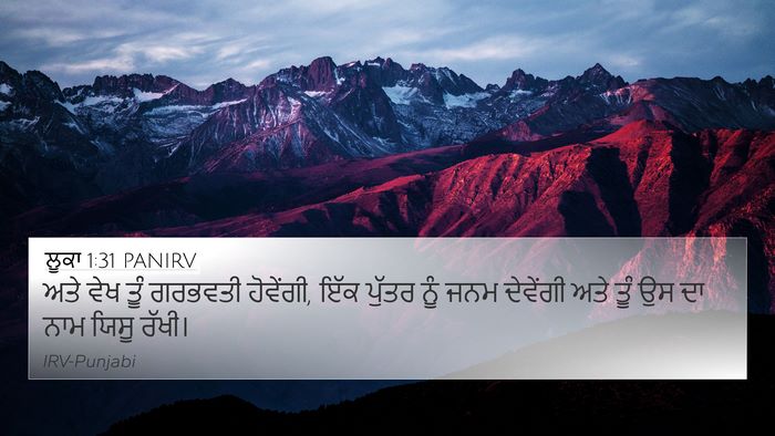 ਲੂਕਾ 1:31 PANIRV Bible Verse Image